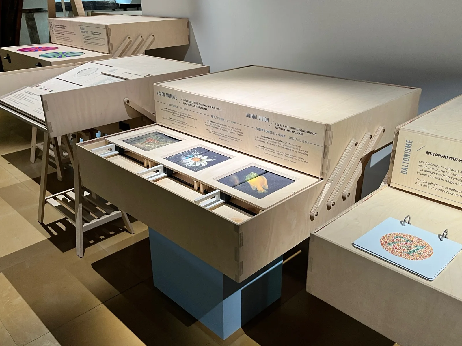 Animaux – Exposition itinérante Couleurs – Rouen